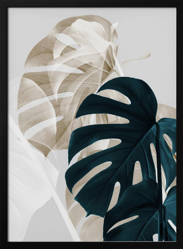 Monstera Creative 05 | Poster