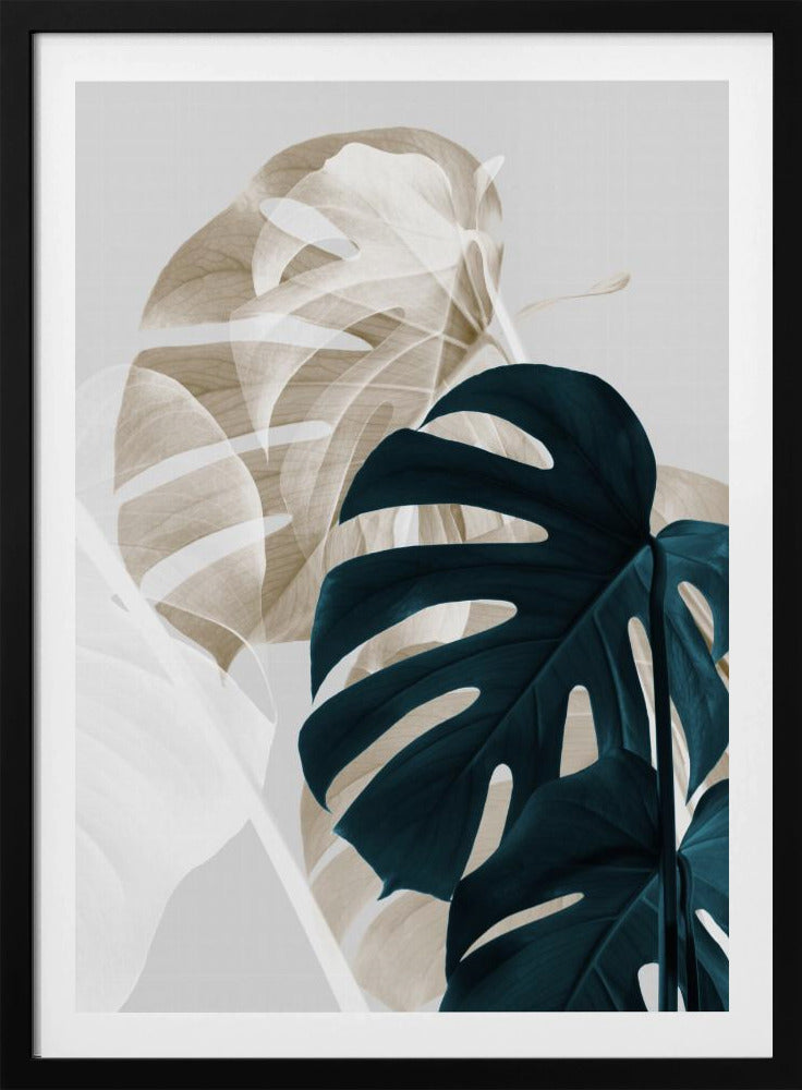 Monstera Creative 05 | Poster