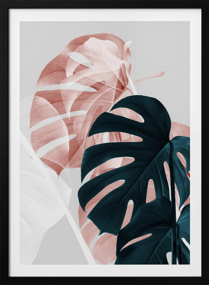 Monstera Creative 09 | Poster