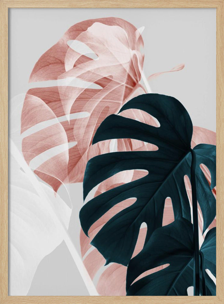 Monstera Creative 09 | Poster