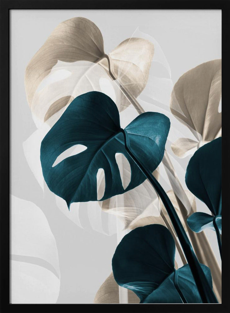 Monstera Creative 10 | Poster