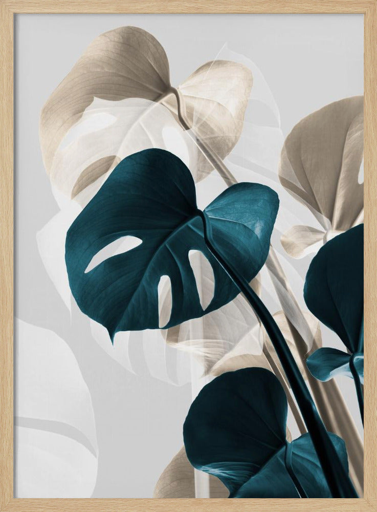 Monstera Creative 10 | Poster