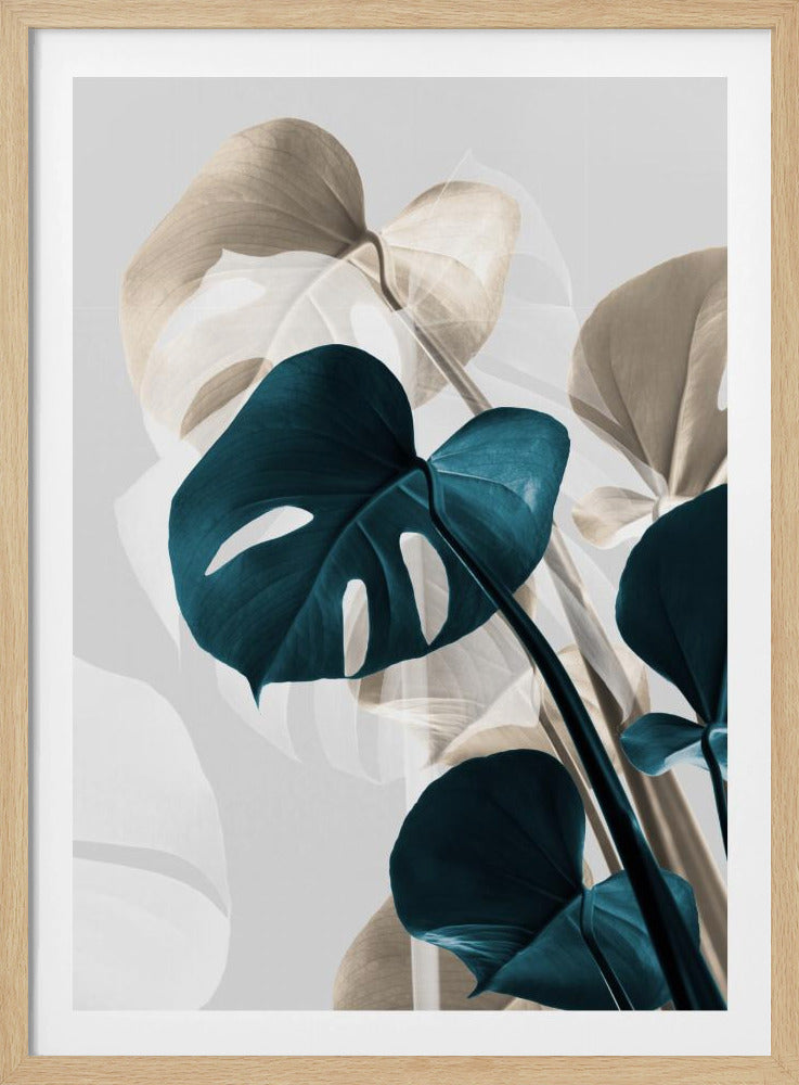 Monstera Creative 10 | Poster