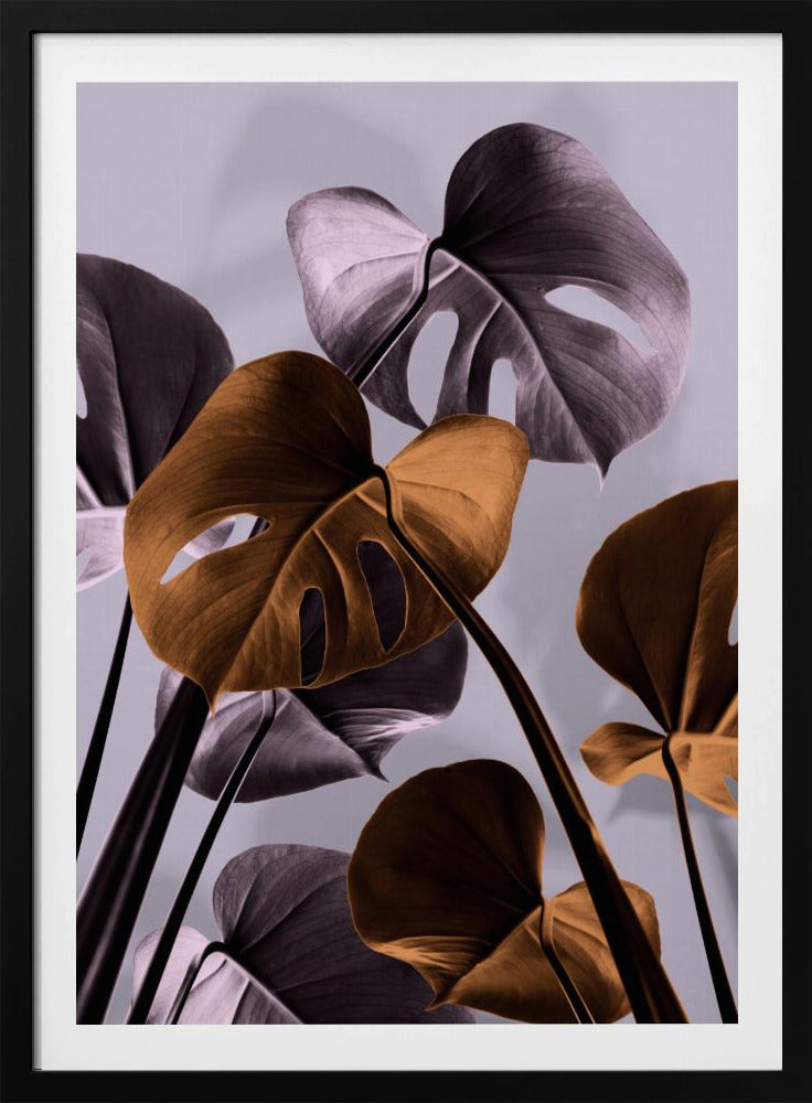 Monstera Purple 01 | Poster