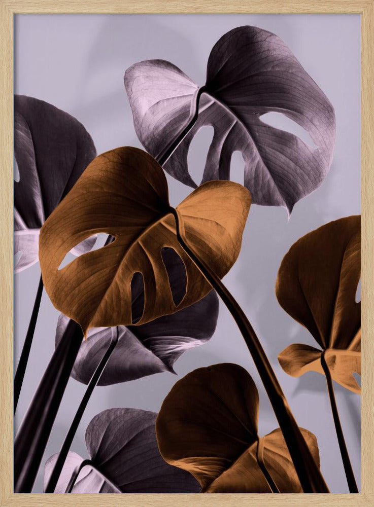 Monstera Purple 01 | Poster