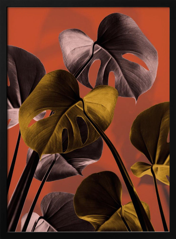 Monstera Orange 01 | Poster