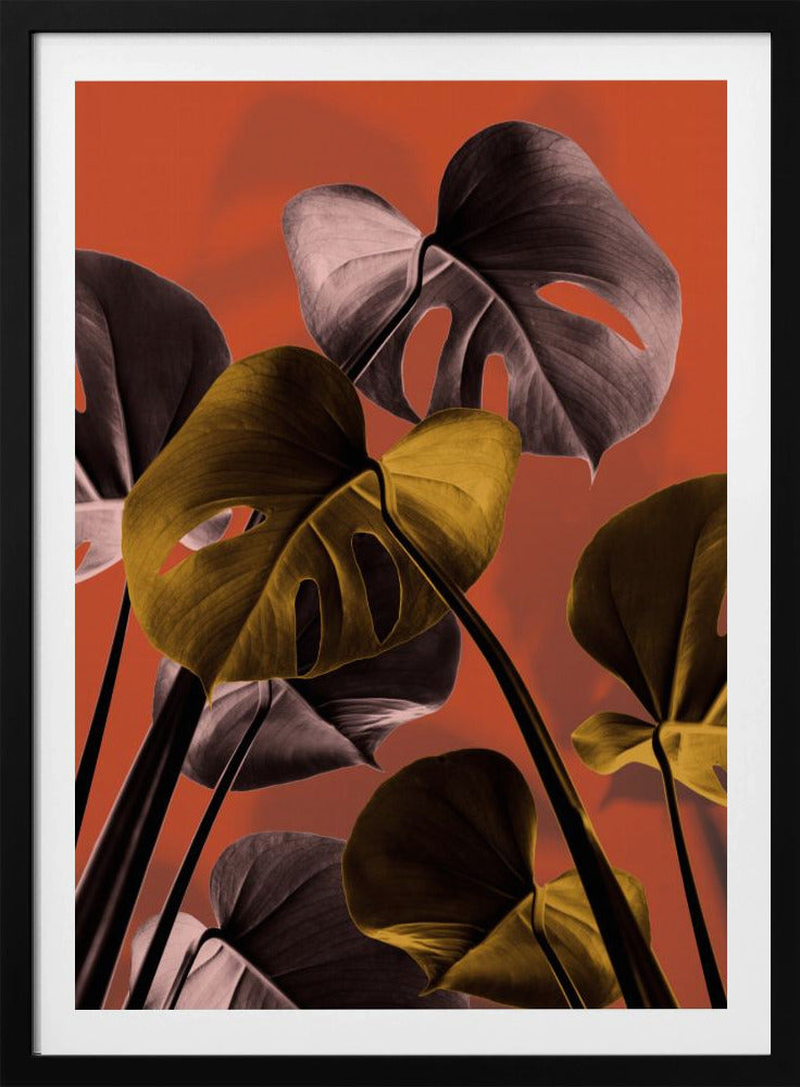 Monstera Orange 01 | Poster