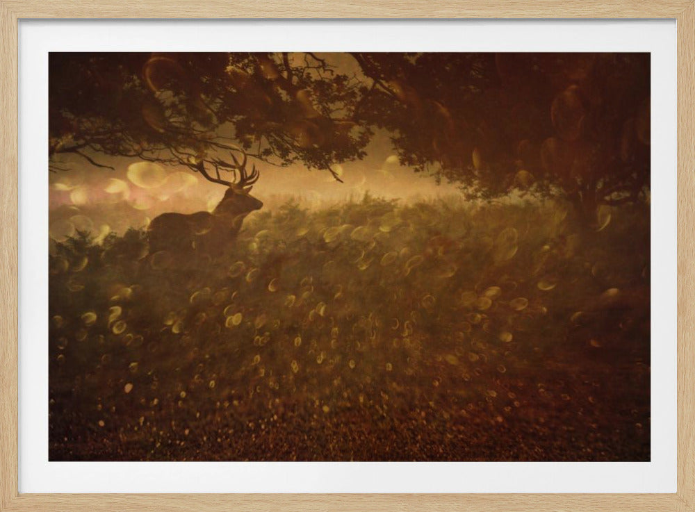 Golden Woods | Poster