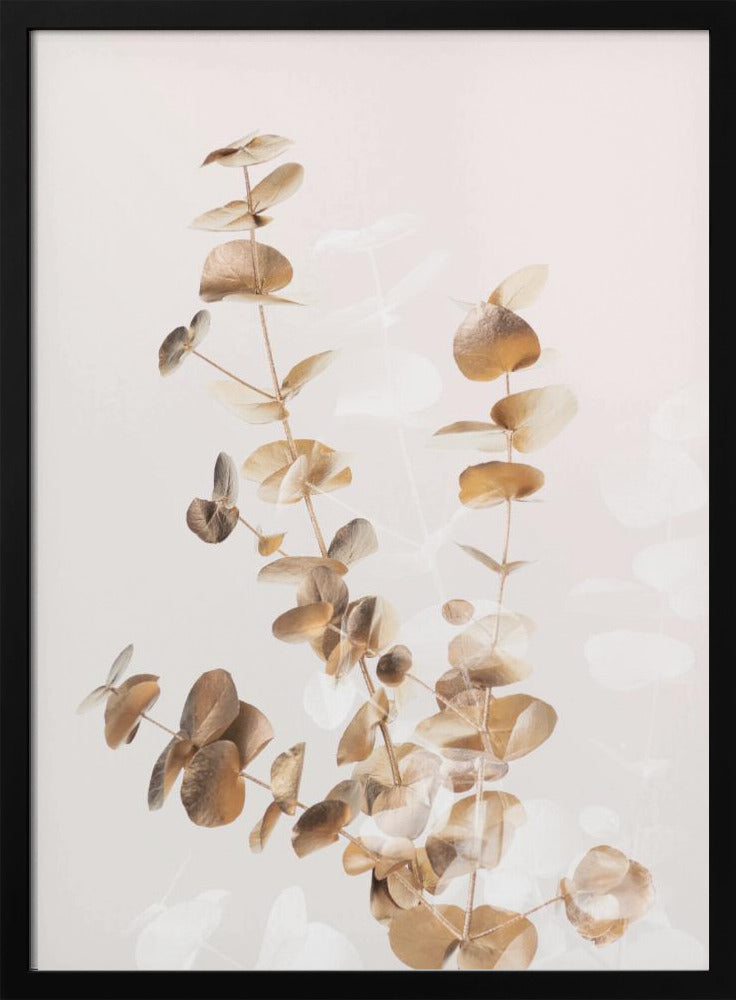 Eucalyptus Creative Gold 03 | Poster