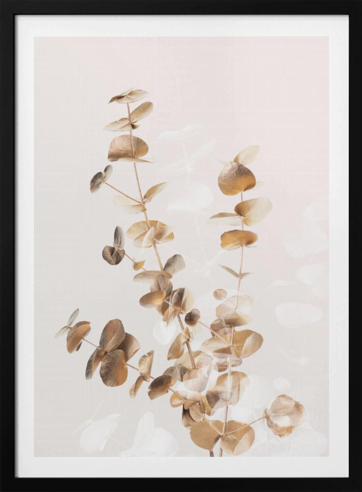 Eucalyptus Creative Gold 03 | Poster