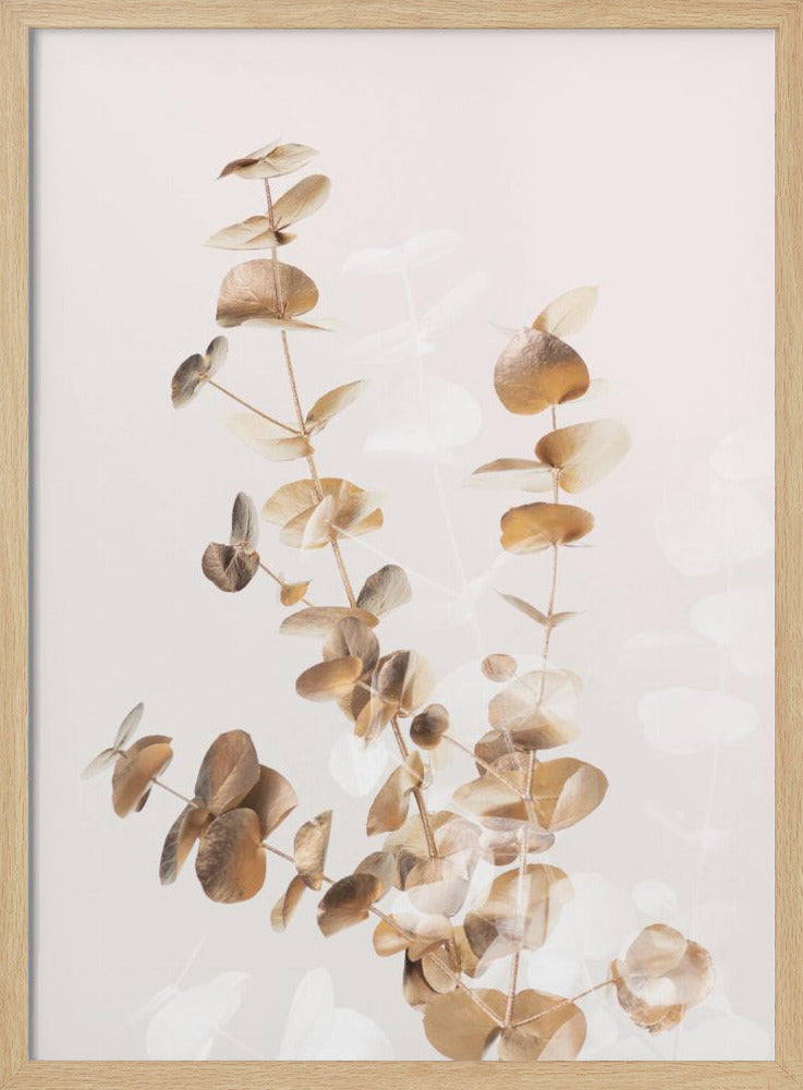 Eucalyptus Creative Gold 03 | Poster