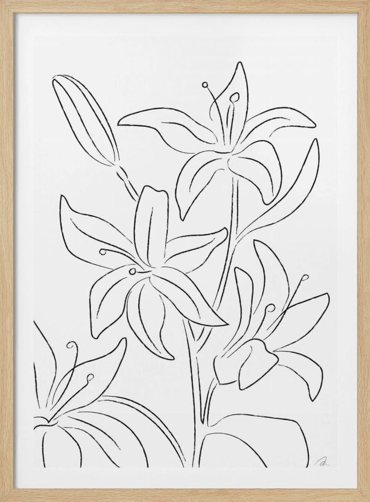 Lillies No 02 | Poster