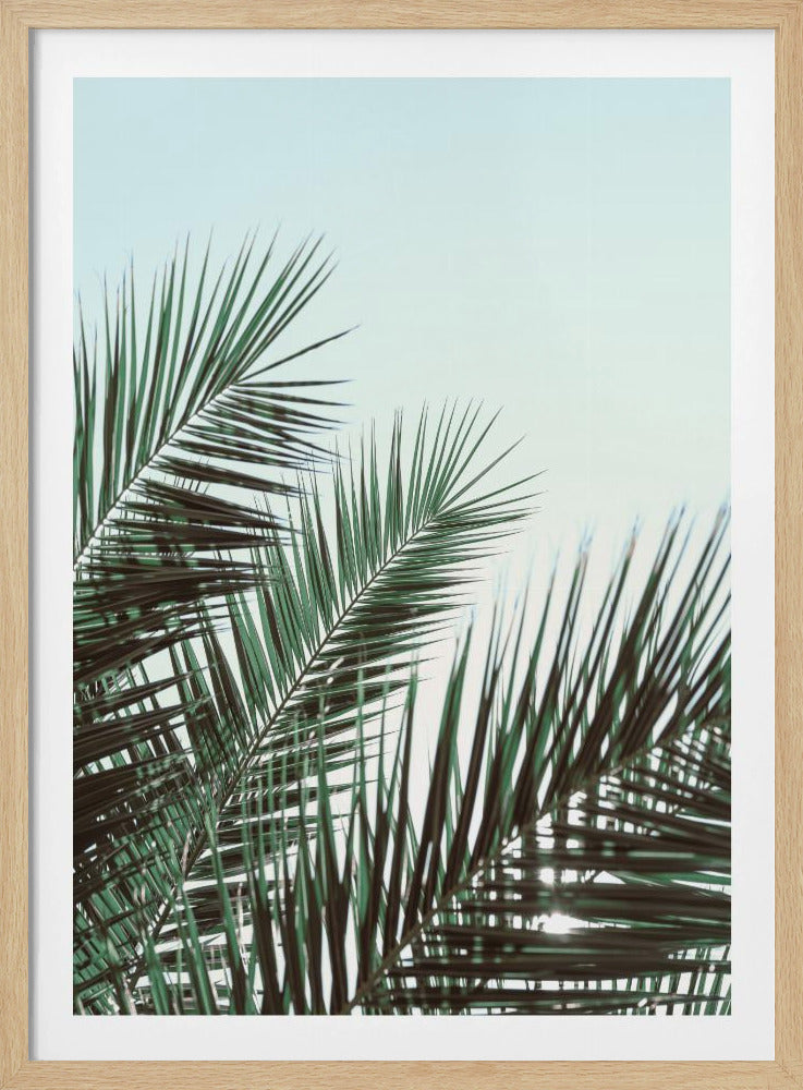 Palm leaves, sky_1 | Poster