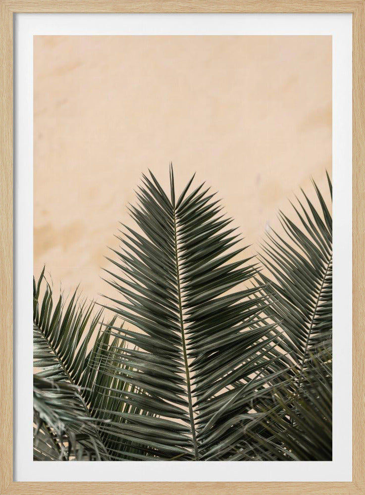Palm leaves and wall_1 | Poster