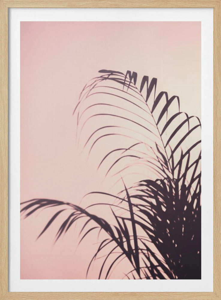 Palm Leaves_1 | Poster