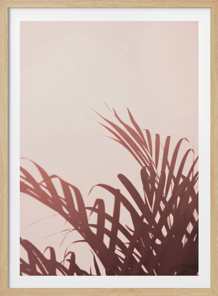 Palm leaves_2 | Poster