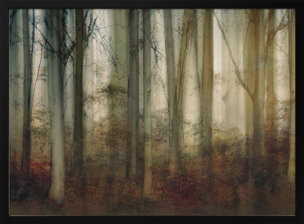 Autumn light | Poster