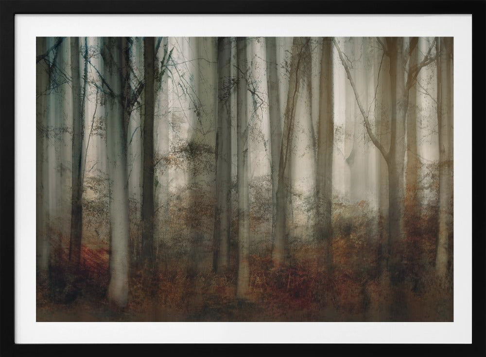 Autumn light | Poster