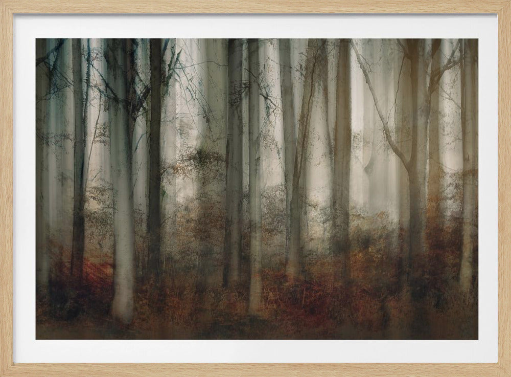 Autumn light | Poster