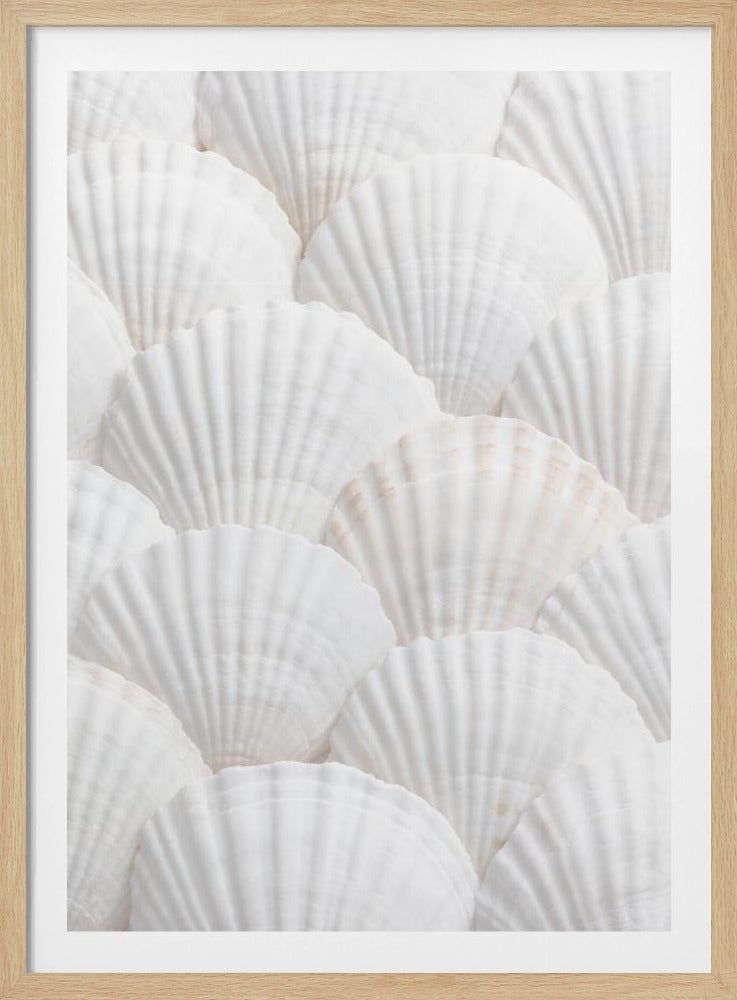 Shells_3 | Poster