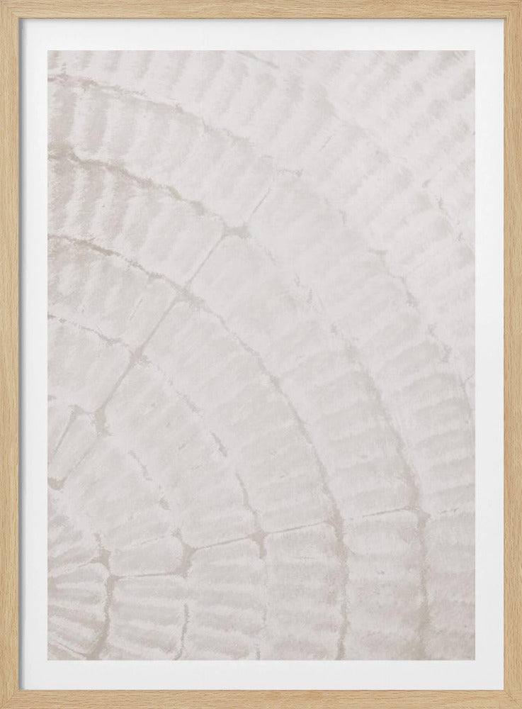 Pattern plate_beige_2 | Poster