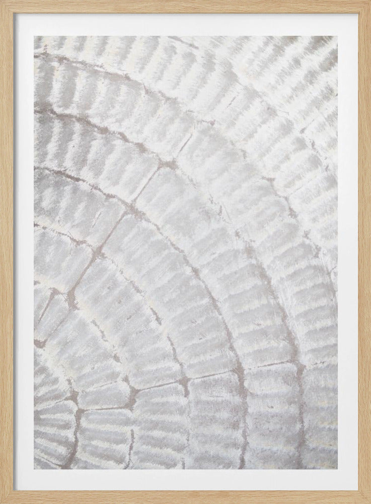 Pattern plate_grey_2 | Poster