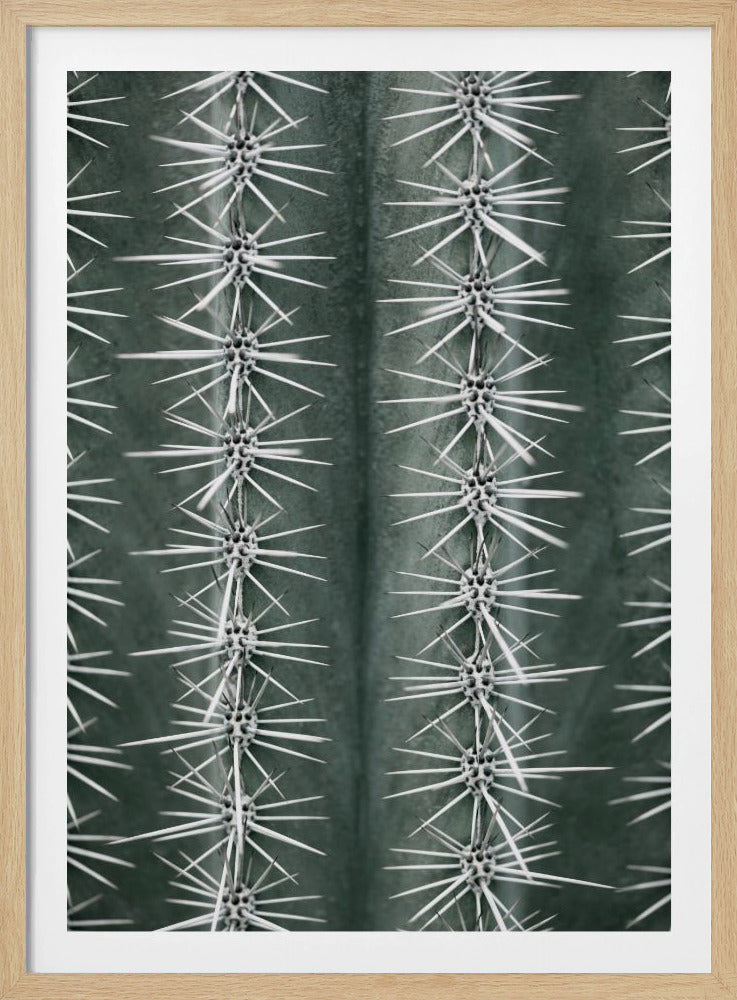 Cactus green | Poster