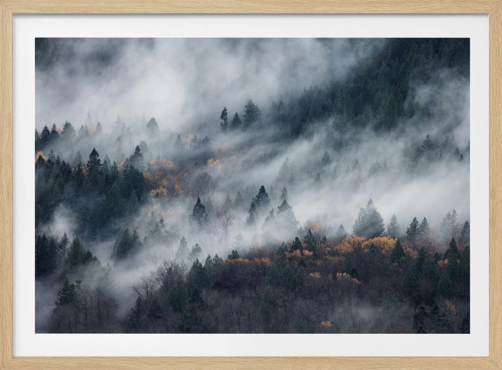 A path of the fog | Poster