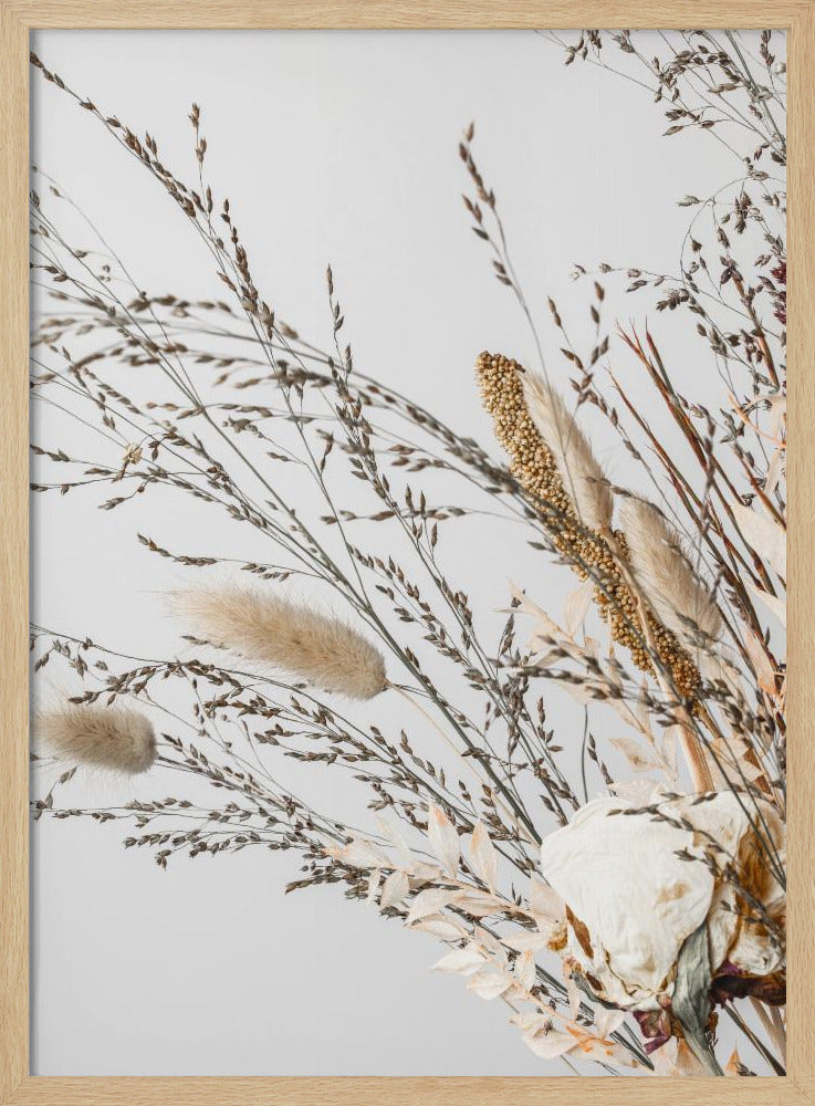 Dried_008 | Poster