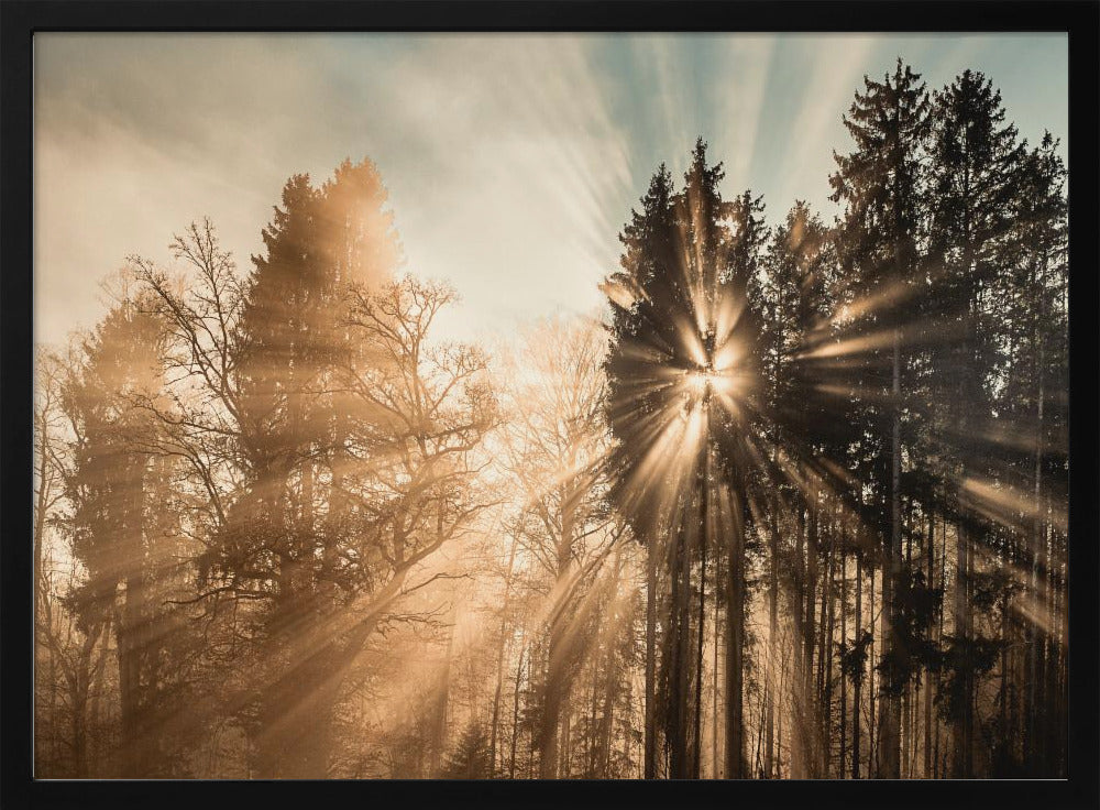 Fading away | Poster