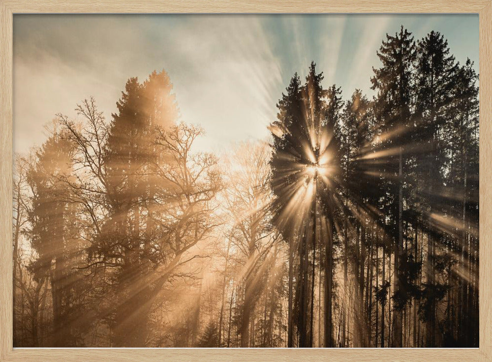 Fading away | Poster