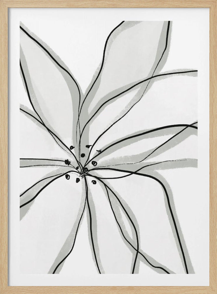 Delicate Flower Petals | Poster