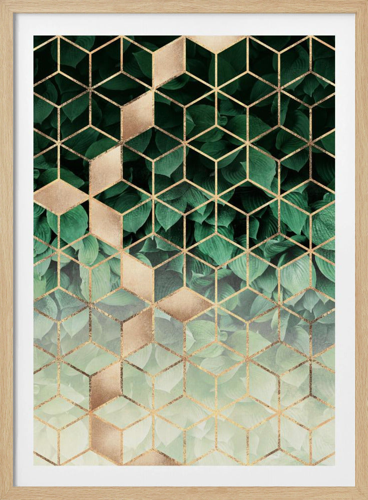 Leaves And Cubes | Poster