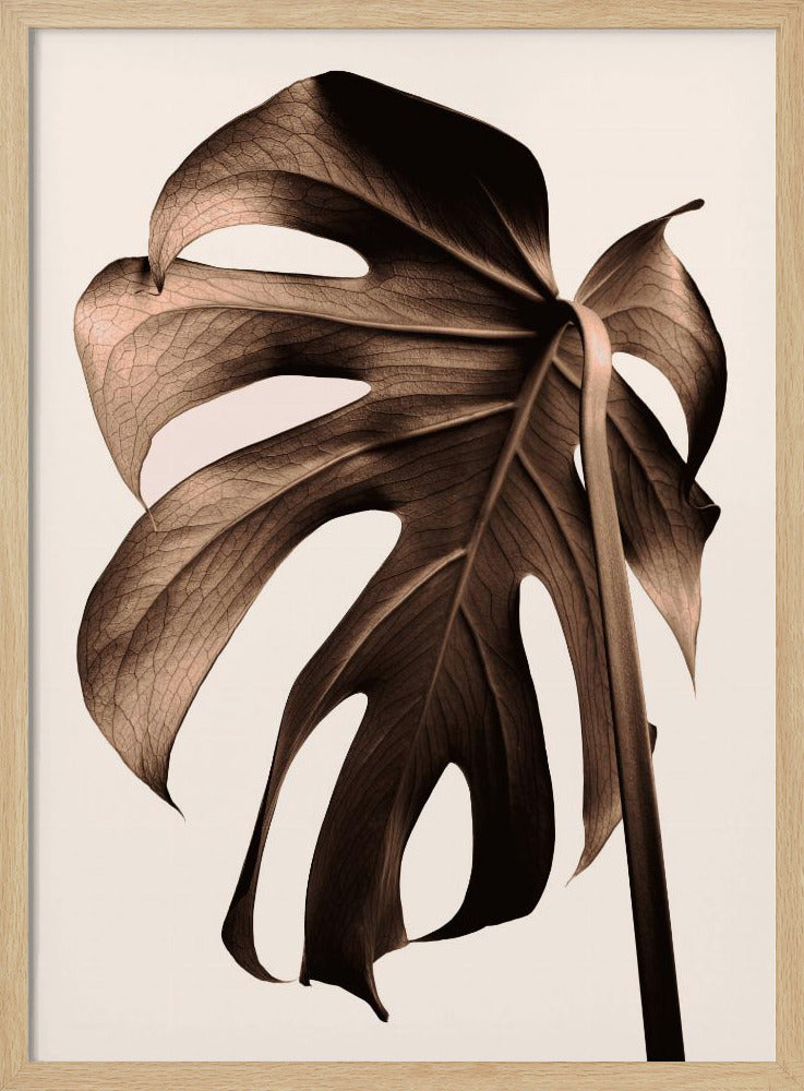 Monstera Gold | Poster