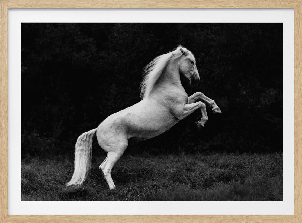 a short story of a blade of grass in a hoof | Poster