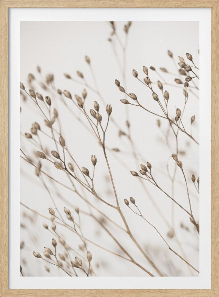 Wild Grass | Poster