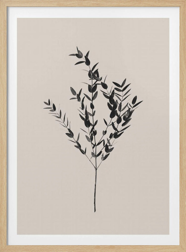 Inky Botanical | Poster