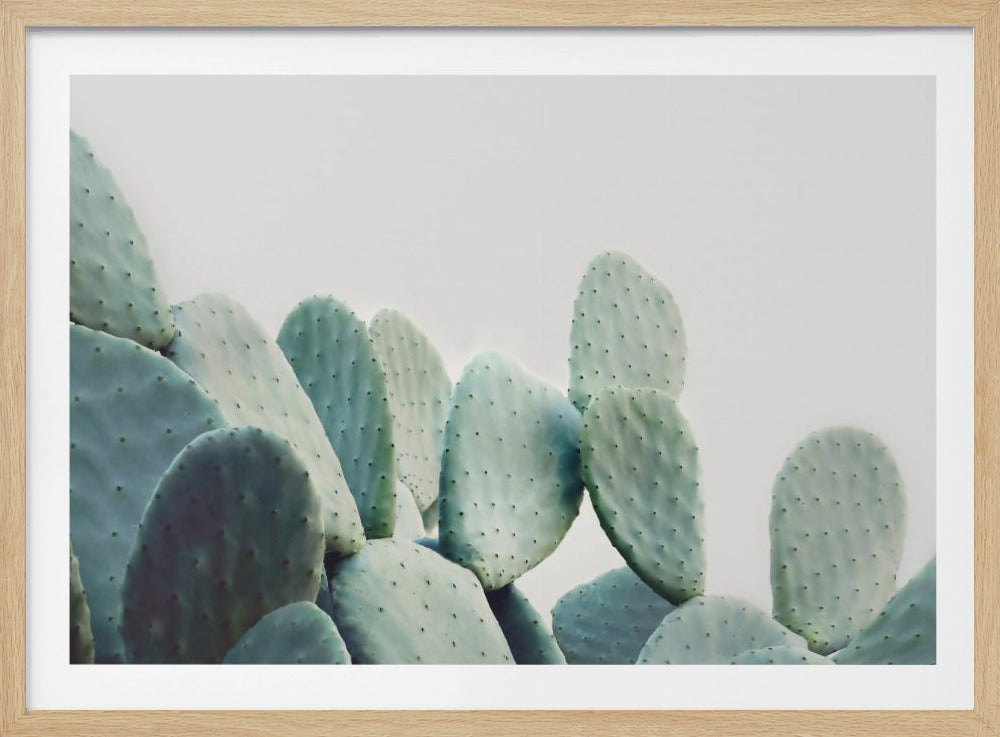 Pastel Cactus | Poster