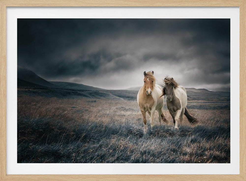 The brothers | Poster