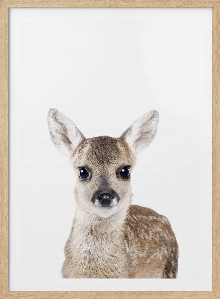 Baby Deer | Poster