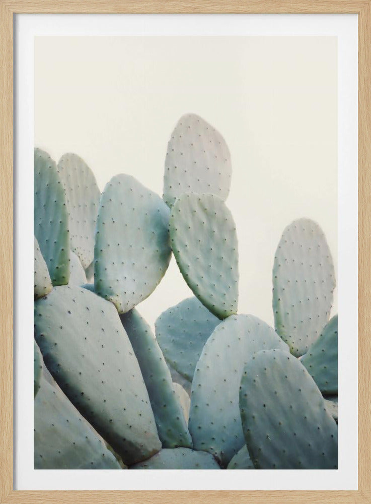 Pastel Cacti | Poster