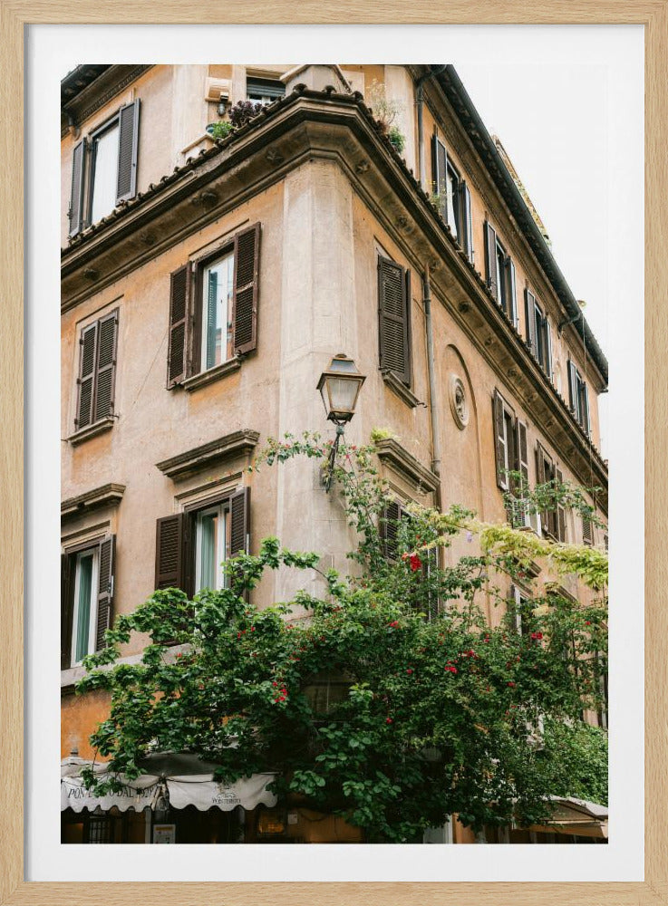 Botanical Trastevere Rome || | Poster