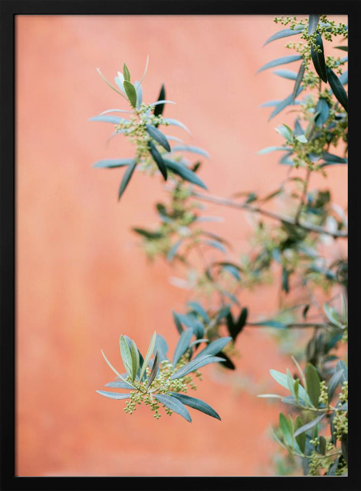 Green and coral | Poster