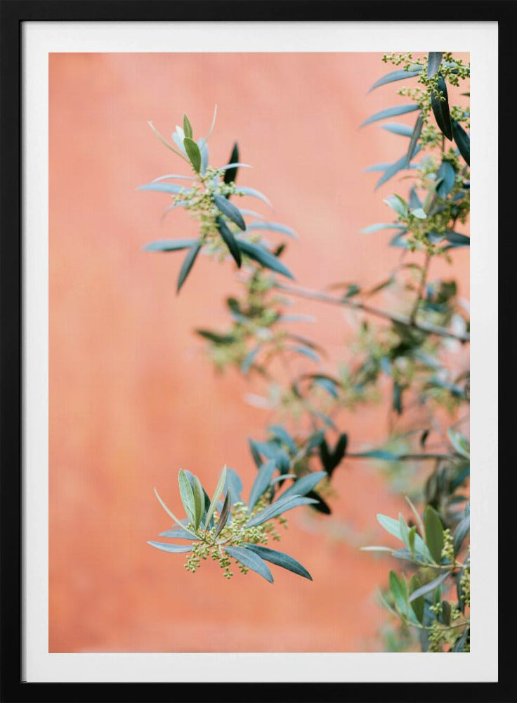 Green and coral | Poster