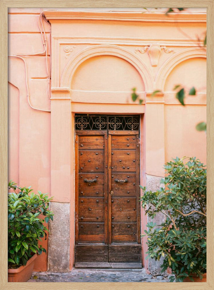 The Trastevere door || | Poster