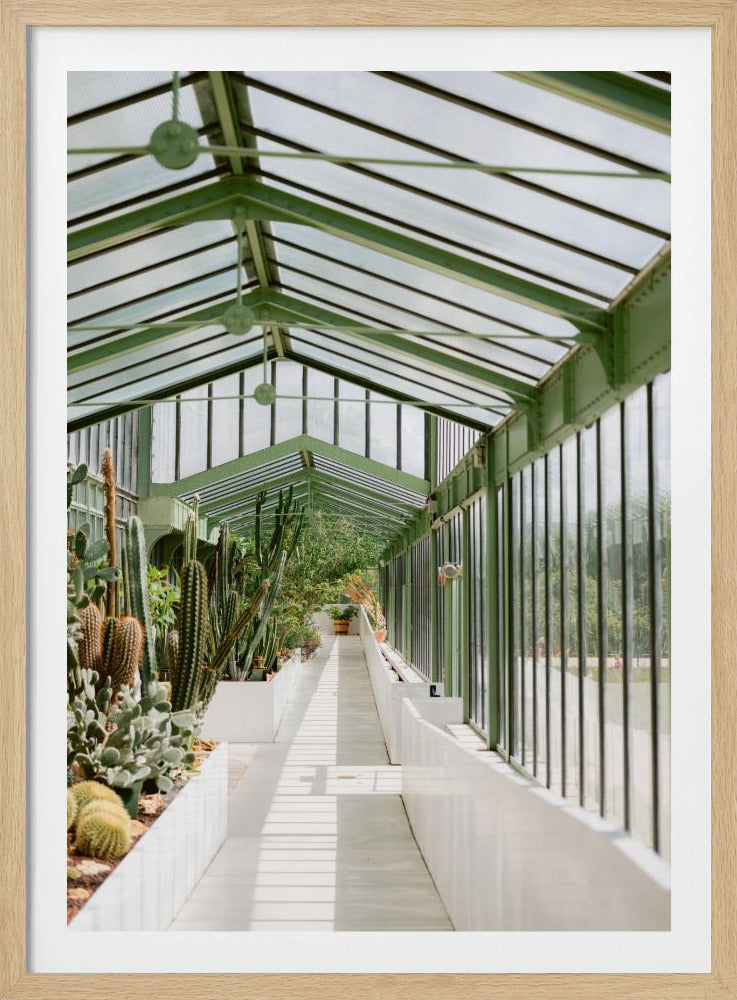 Botanical garden of Paris | Poster