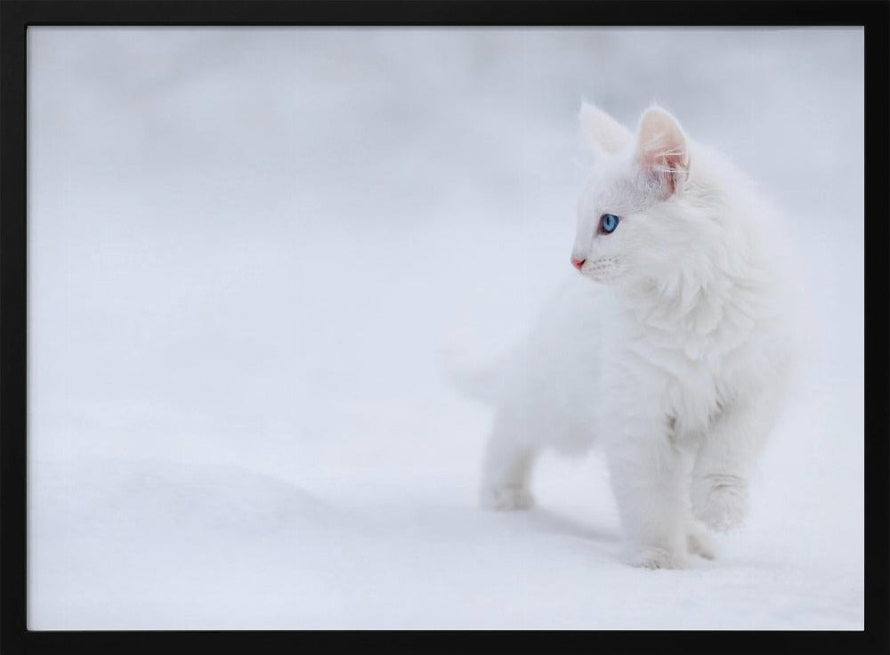 White as Snow | Poster