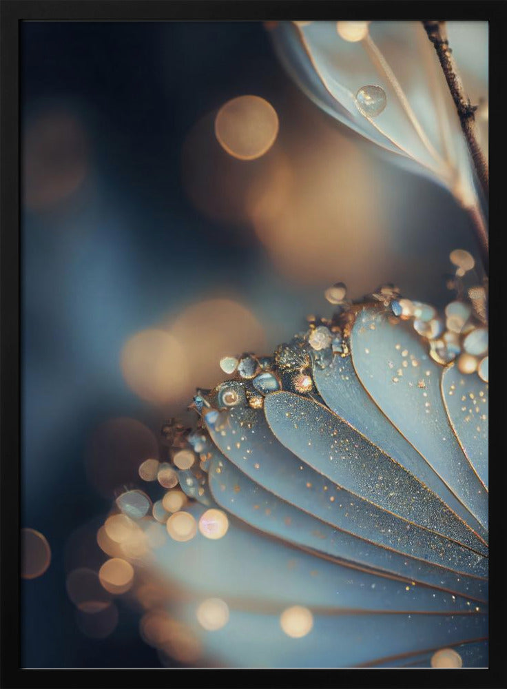 Dewy Petal Elegance | Poster