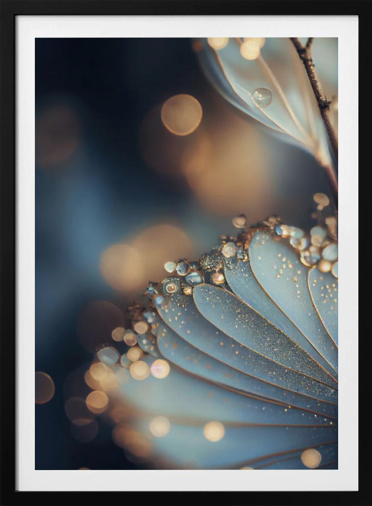 Dewy Petal Elegance | Poster