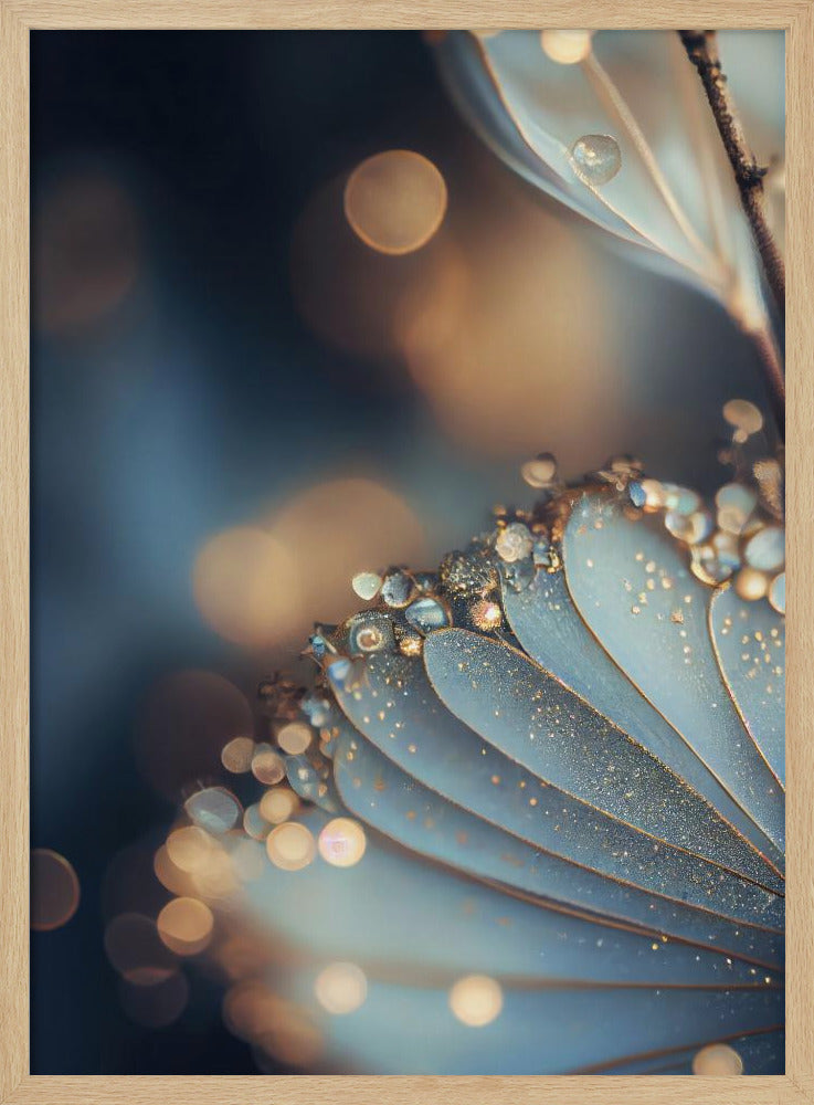 Dewy Petal Elegance | Poster